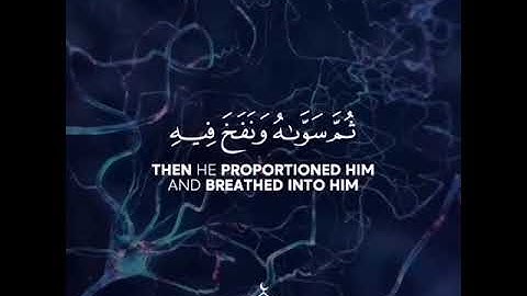 القارئ عبد الرحمان مسعد سورة (السجدة) الاية 7-9