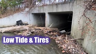 Cleanup of the Hudson River Culvert during Low Tide