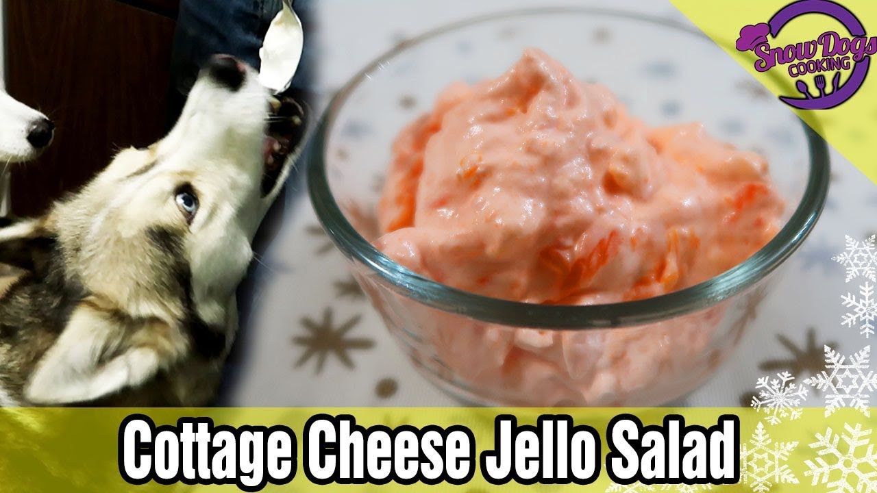 Cottage Cheese Jello Salad Easy Side Dish Youtube