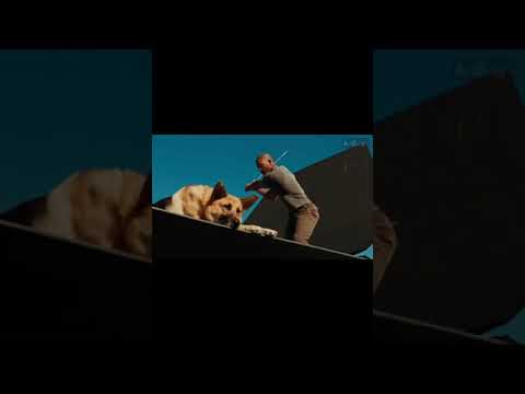 قصة الشاب الأسباني خافيير وكشف الحقيقة عن القصة التي يدعيها خافيير خافيير ما وراء القصة قصص غامضة