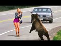 UNBELIEVABLE Animal Encounters Caught on Camera for THREE Hours #8 | Best of Series