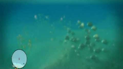 Far Cry 3 Game Play - Shark Attack