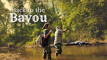 Setting Turtle Lines - Day 2