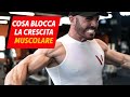 5 fattori che bloccano la CRESCITA MUSCOLARE