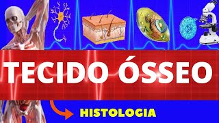 TECIDO ÓSSEO (ENSINO SUPERIOR) - HISTOLOGIA - CÉLULAS E ESTRUTURA DO TECIDO ÓSSEO