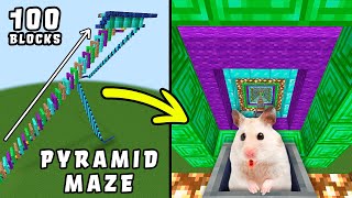 Hamster in Minecraft | Roller Coaster with 100 blocks maze