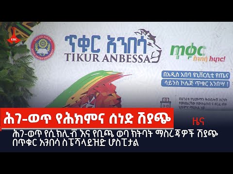 ቪዲዮ: የቢጫ የኖርፎልክ ጥድ ምክንያቶች - ለቢጫ ወይም ብራውኒንግ ኖርፎልክ ጥድ ቅጠል ምን ማድረግ