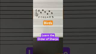 Learn the order of sharps #musictheory #piano