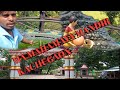 Ma maha maya mandir kachugaonc mardi official vlogs2022