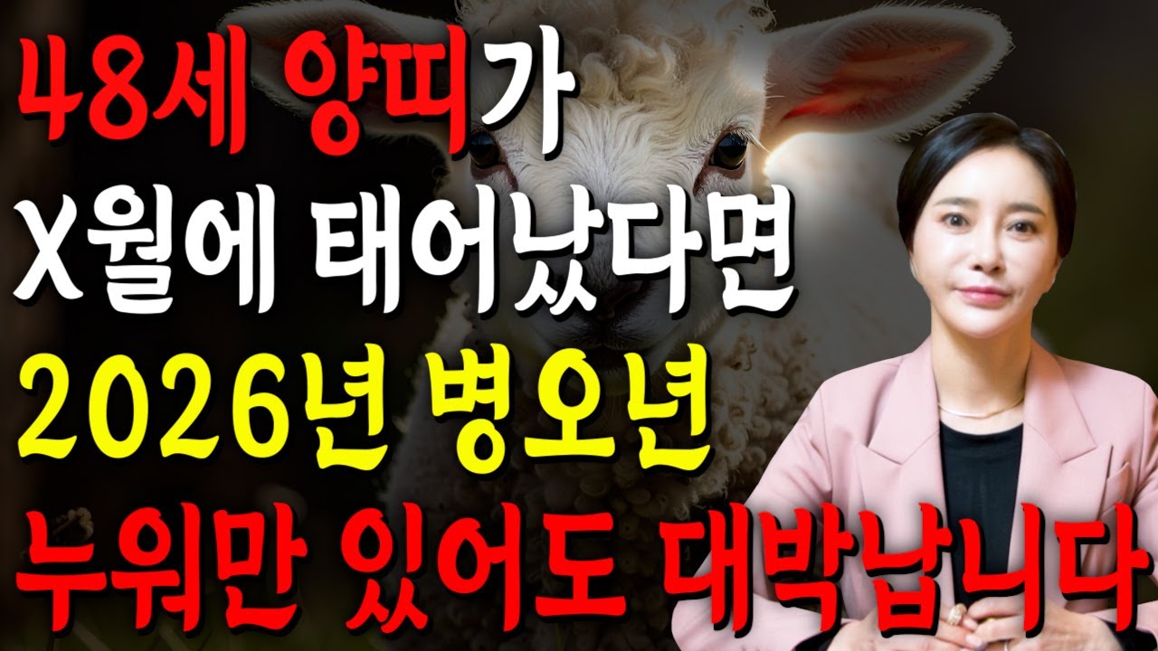 ⭐2026년 1979년생 48세 양띠운세⭐X월에 태어난 양띠는 정말 누워만있어도 대박납니다!! 말년에 금전,귀인,문서운까지 다 들어와 초대박나는 79년생 48세 양띠 평생운세