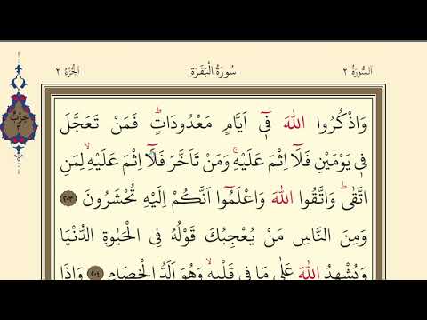 31.DERS | KURANI KERİMİ YAVAŞ VE TECVİTLİ OKUMA DERSLERİ |BAKARA 203-210 | SURAH AL BAQARA READİNG