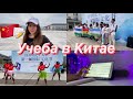 Продуктивный день, учёба в Китае и китайский язык | ДНЕВНИК СТУДЕНТА #7 VLOG