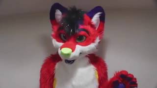 What to do if your kid is a furry