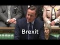 More than 100 Tory MPs back Brexit