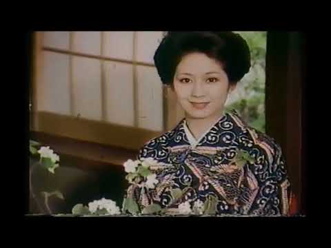 サンテレビCM　特撰はこ茶　バステリンスペシャル　城見台住宅展