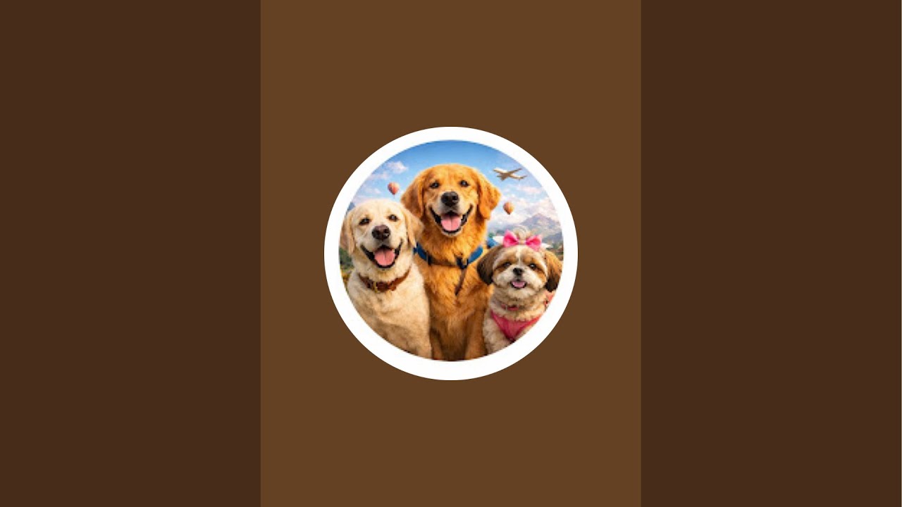 MR Snow- Leo- Bella & Family Stories is live