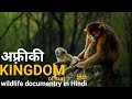 The kingdam of the sun     african wildlife documentry in hindi