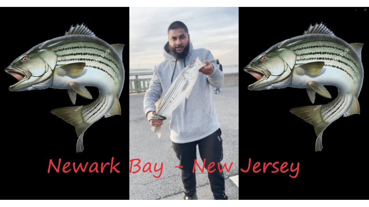 Newark Bay Striper Fishing Newark Bay New Jersey Fishing With ReelKoolDad YouTube
