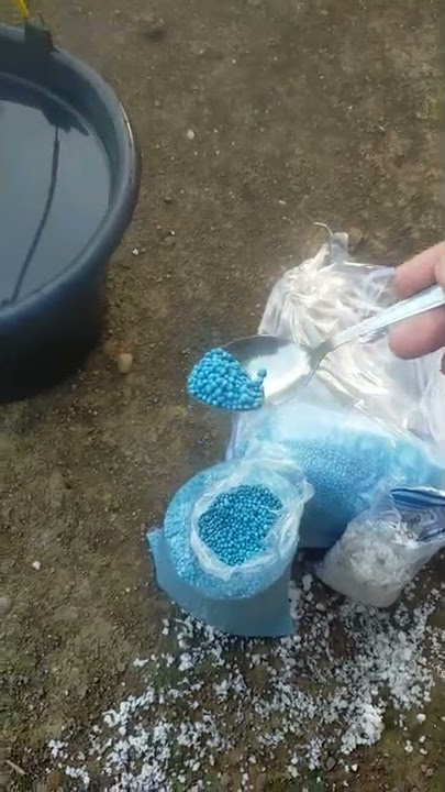 cara menggunakan pupuk NPK mutiara dalam 1 liter air