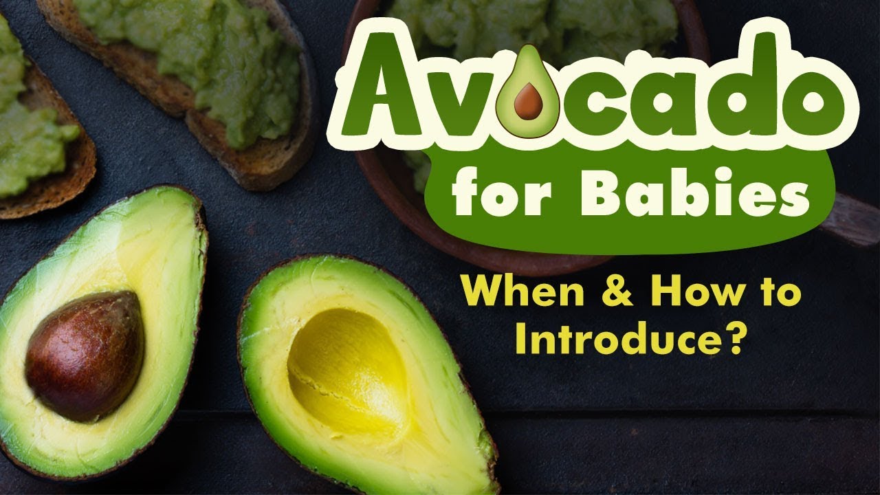 avocado for six month baby