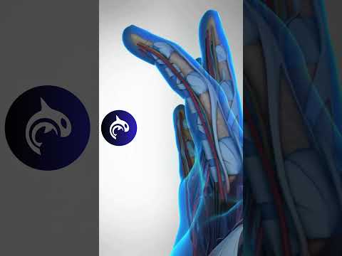 Index Finger Motion