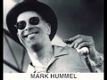 Mark hummel  summertime live