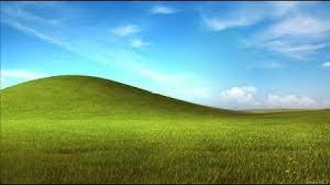 Windows xp loading screen