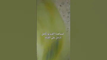 كتب السنة السابعة من التعليم الأساسي 