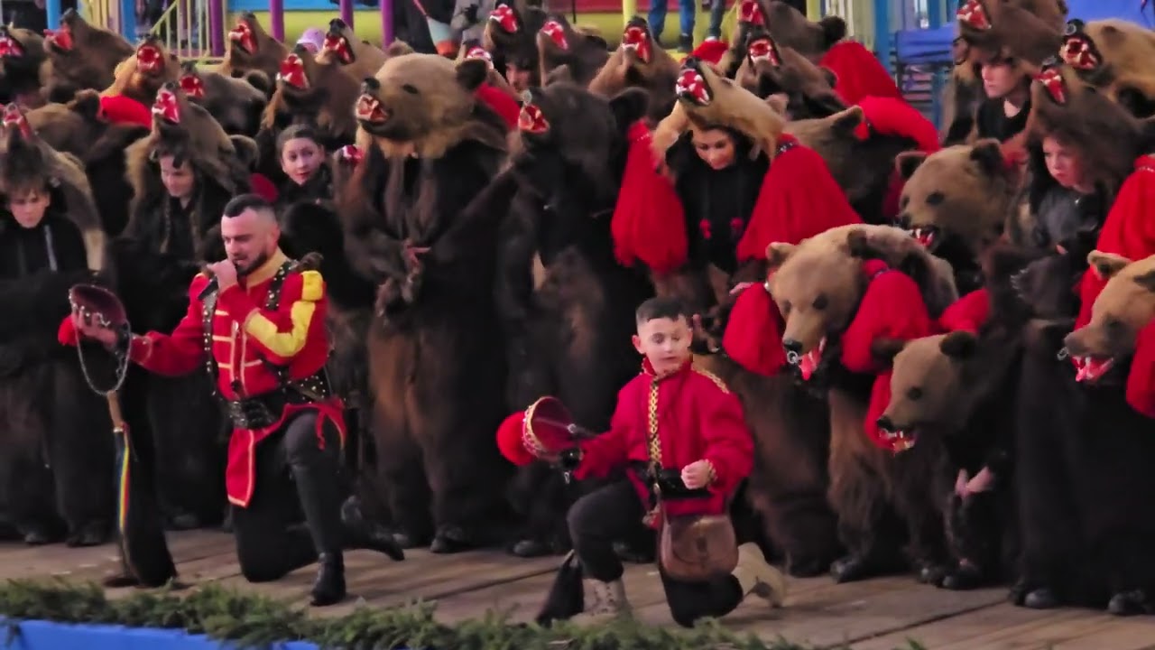 Ursul din Lăloaia 1, oraș Comănești 30 decembrie 2024