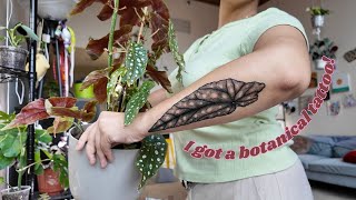 I got a botanical tattoo | Begonia Maculata tattoo