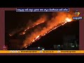 Pawan Kalyan Orders Probe into Seshachalam Forest Fire
