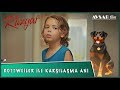 ROTTWEİLER İLE KARŞILAŞMA ANI - RÜZGAR FİLM