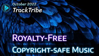 TrackTribe | Music For YouTube Videos (Copyright-safe | Royalty-Free)