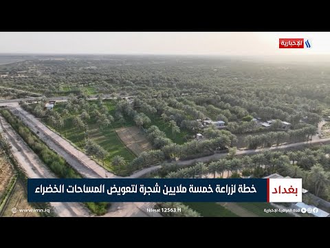 خطة لزراعة خمسة ملايين شجرة لتعويض المساحات الخضراء تقرير صابرين كاظم