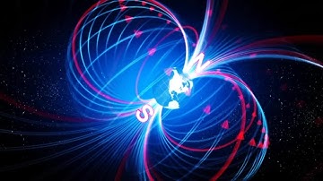 A Wilder View: How animals use Earth