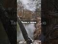 Стихи о любви и духовности #любовь #стихи #саморазвитие