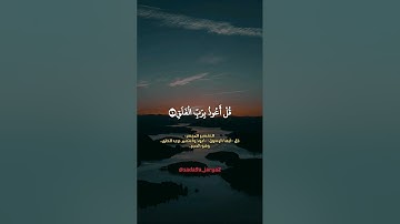 قل أعوذ برب الفلق❤️ #سورة_الفلق #ماهر_المعيقلي #تلاوة_خاشعة #صوت_جميل #قرآن_كريم #الجزائر #دعم