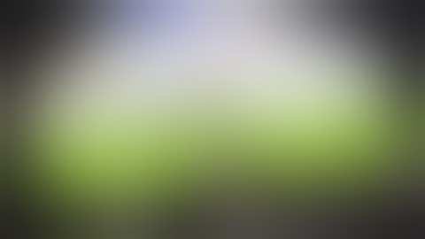 Bullet Force | Got Her Throat Fucked | AK-47 Nuke