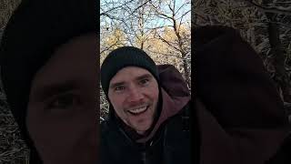 Ett av Halmstad guldkorn? Kika hela videon i kanalen! #vlog #vandring #äventyr