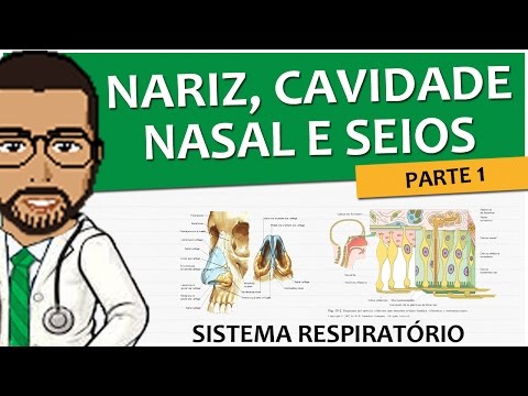 Vídeo: Anatomia Do Nariz, Função E Diagrama - Mapas Do Corpo