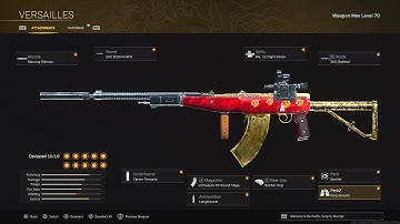 this automaton loadout is meta after update no recoil buff on warzone