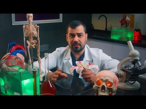 ما هي اجزاء الزهرة وشلون نميز بينهن