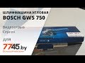 Шлифмашина угловая (болгарка) BOSCH GWS 750 S Professional Видеоотзыв (обзор) Сергея