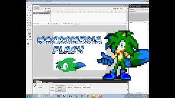 macromedia flash test