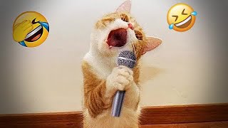 New Funny Animals 2024 🤣 Funniest Dogs and Cats 😻🐶