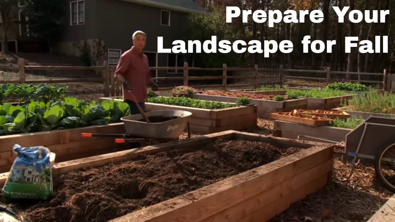 How to Prepare your Landscape for Fall - YouTube