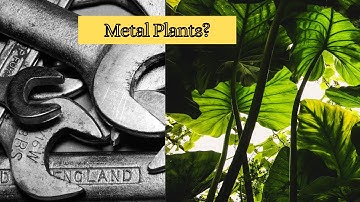 Metal Plants? | hyperaccumulators | English Learning audio/visual | Grade 7, 900L