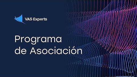 Programa de Asociación - VAS Experts