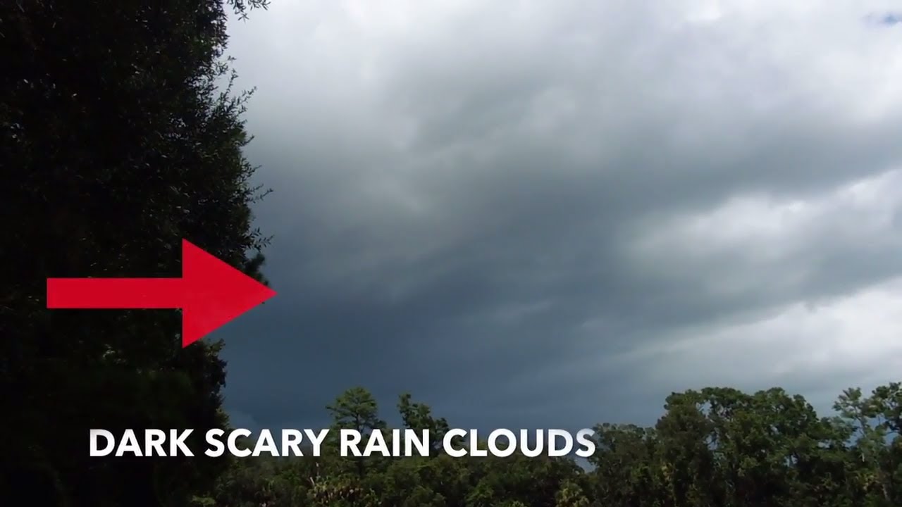 INTENSE FLORIDA RAIN STORM | Flagler Florida | Vlog #46