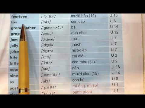 Video Tiếng Anh lớp 2 (sách mới) Tổng hợp từ vựng - YouTube